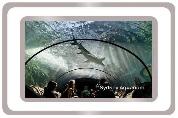 GripMagic Non-SlipFloor Treatment Testimonials